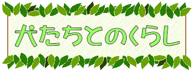 犬たちとのくらし