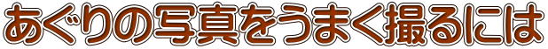 あぐりの写真をうまく撮るには